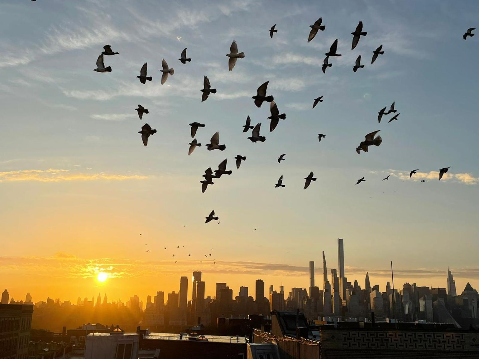 Ny Skyline One Of A Kind View Apartment Union City Ngoại thất bức ảnh